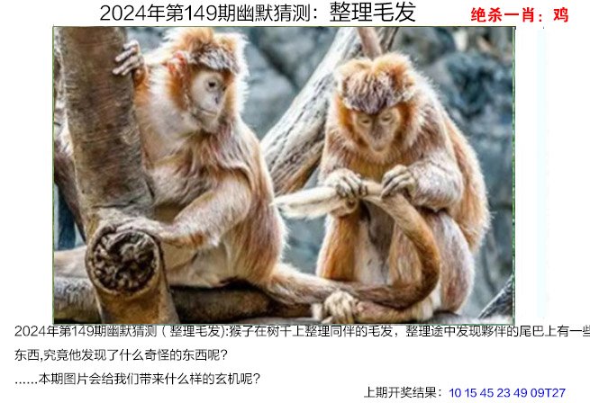 2021澳门资料大全正版内部资料,数据整合方案实施_投资版121,127.13