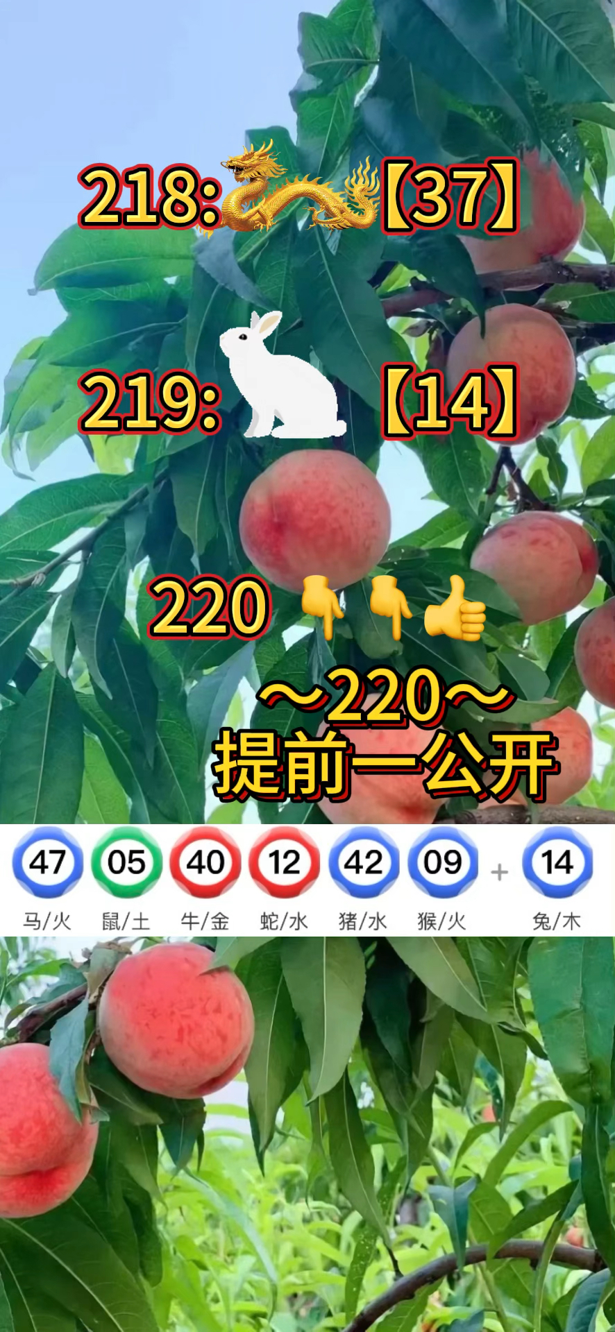 2023澳门正版资料更新,资深解答解释落实_特别款72.21127.13.