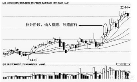 仙人指路论坛澳门网址是多少