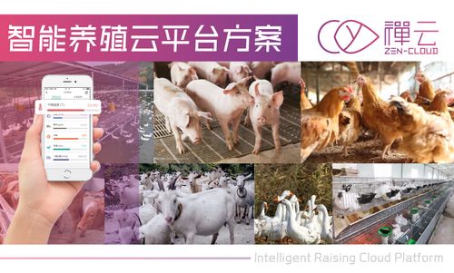 白小姐精选三肖四码澳门和央视曝光云养殖骗局与央视曝光云养殖骗局是真的吗