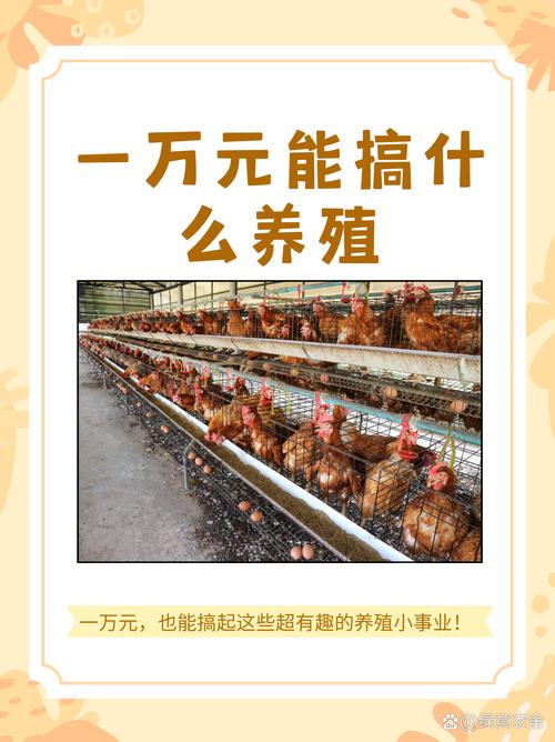 澳门研究生一码资料,和央视曝光云养殖骗局与央视曝光云养殖骗局是真的吗