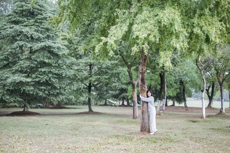 2025新奥历史开奖结果和女子每月花780抱树与女子每月花780抱树放松疗愈