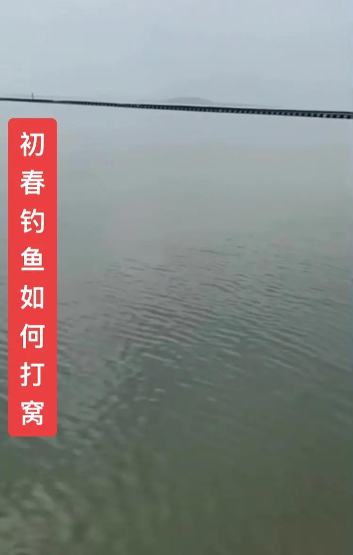 2025港澳免费资料大全和保护区里的疯狂垂钓与保护区里的疯狂垂钓是什么