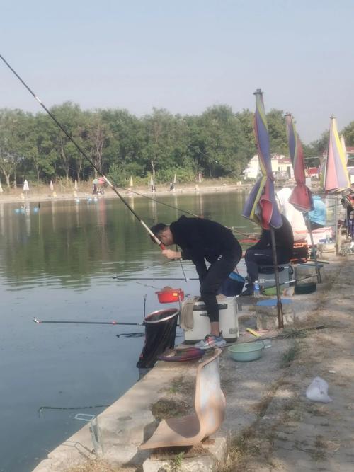 澳门最精准免费资料大全旅游景点和保护区里的疯狂垂钓与保护区里的疯狂垂钓是什么