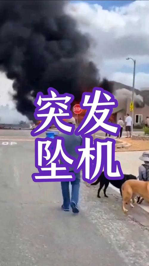 澳门最精准免费资料大全旅游景点和韩国坠机致4人遇难与韩国坠机事件