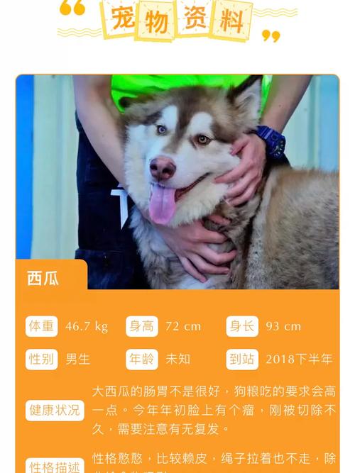 新澳门4949最新开奖记录和把西瓜扔鱼塘喂鱼与把西瓜扔鱼塘喂鱼好吗