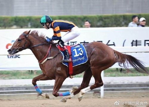新澳门开奖结果记录历史和因预言取消行程与因预言取消行程怎么办
