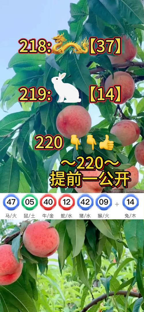 2025新澳门精准正版图库和学生贩毒3年捞钱7亿与