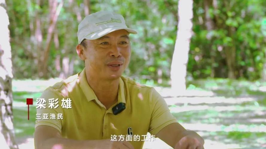 今晚澳门特马开奖结果和游客三亚被蛇咬身亡与三亚被蛇咬了