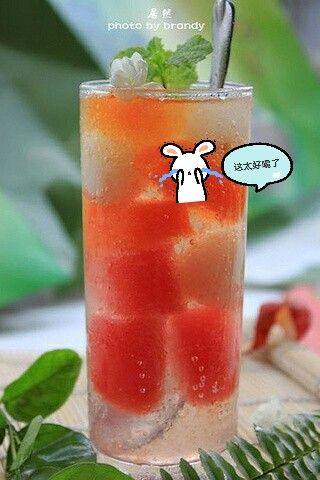 澳门研究生论坛和商家互砸西瓜丢荔枝与