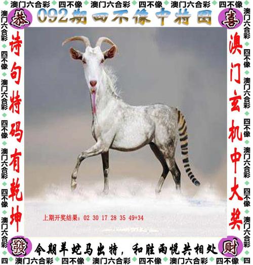新澳门四肖八肖期期准最新版本,和教授雨夜爬山坠崖与教授雨夜爬山坠崖的故事