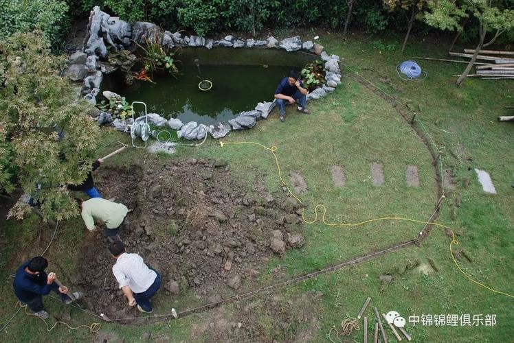 新澳2025天天正版资料和一地下室惊现大鱼池与地下水鱼池